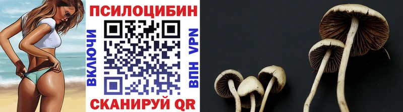 Псилоцибиновые грибы MAGIC MUSHROOMS  Коломна 