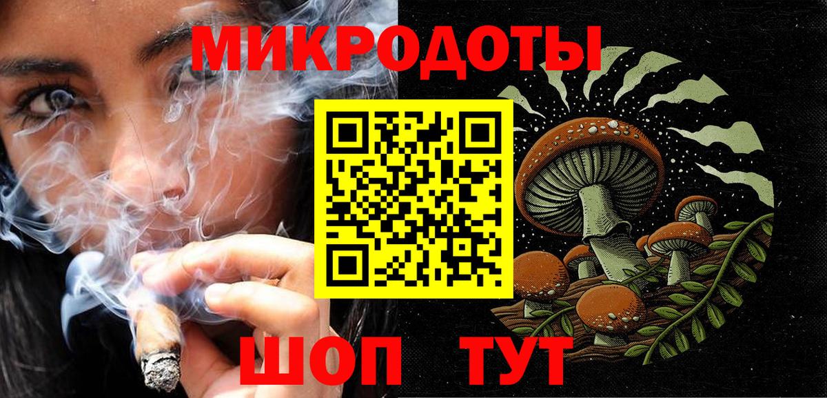 Галлюциногенные грибы Psilocybe Коломна