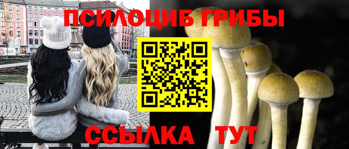 Псилоцибиновые грибы Cubensis  Галлюциногенные грибы MAGIC MUSHROOMS  Вход с VPN  Коломна 